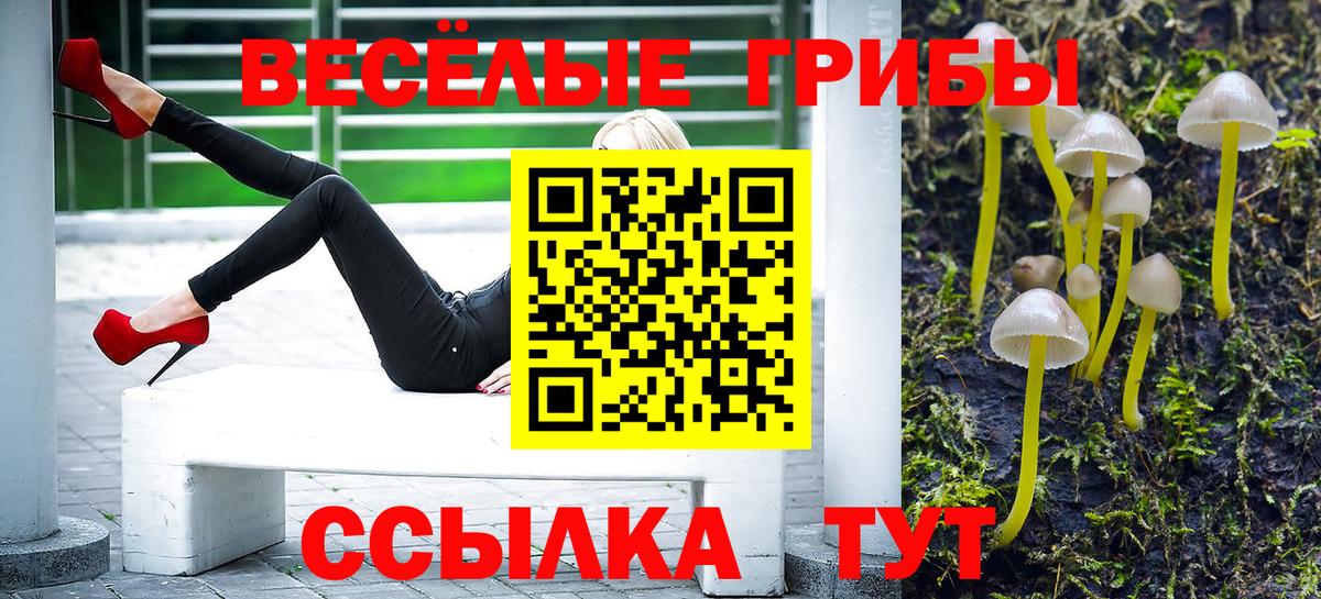 Алушта  Галлюциногенные грибы MAGIC MUSHROOMS  Вход с VPN 