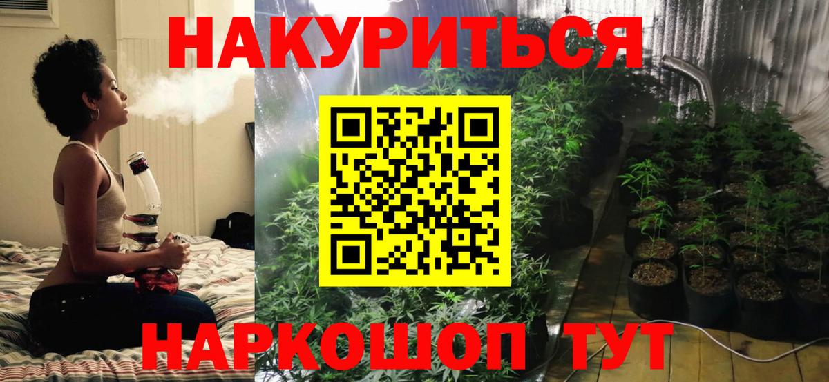 Шишки марихуана планчик  Марихуана план  Алушта  Вход с VPN  Канабис OG Kush 